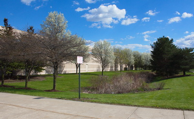 landscaping_4
